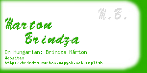 marton brindza business card